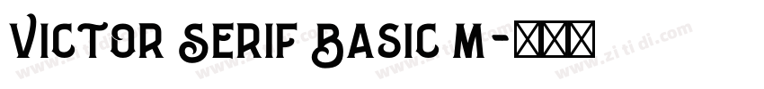 Victor Serif Basic M字体转换